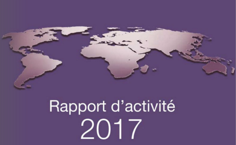 Les rapports d'activités 2017