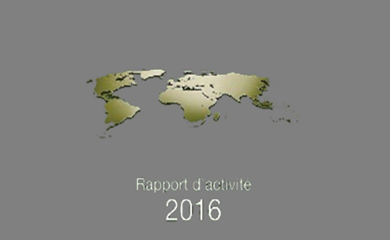 Les rapports d'activités 2016