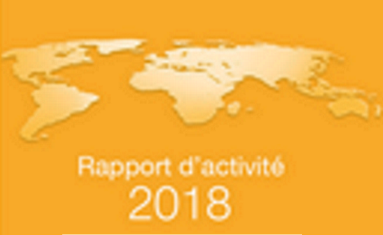 Les rapports d'activités 2018